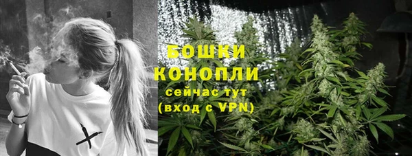 шишки Вязьма