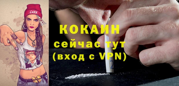 тгк Вяземский