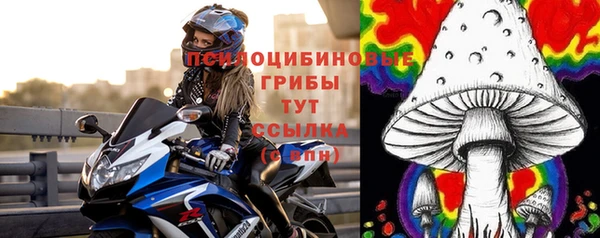 шишки Вязьма