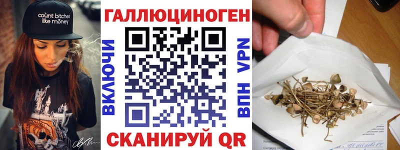 Псилоцибиновые грибы Psilocybe  как найти закладки  Орехово-Зуево 
