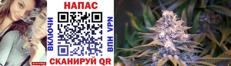 Конопля Ganja  Орехово-Зуево 